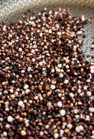pipoca de quinoa