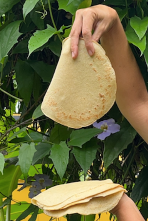 wrap quinoa 04 x 452 px)