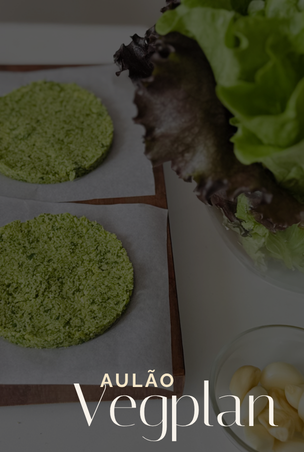 aulao vegplan (304 x 452 px)