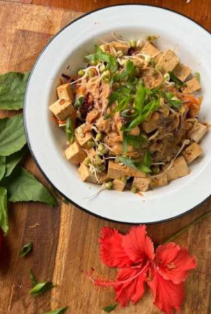 yakisoba vivo (304 x 452 px)